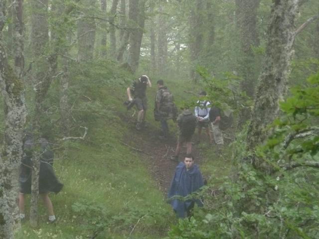 Groupe randonnant dans la forêt