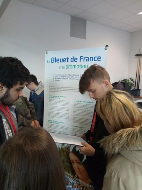 Jeunes répondant au quiz sur le Bleuet de France