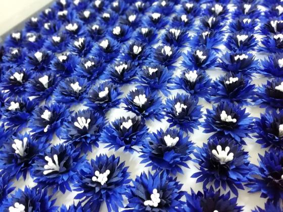 La fleur "Centenaire" Bleuet de France